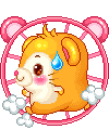 Hamster Wheel