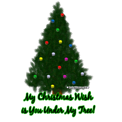 You Under My Tree