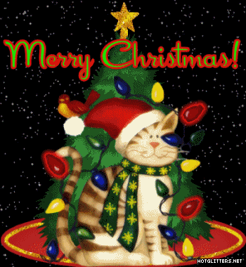 Merry Christmas