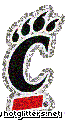 Cincinnati Bearcats