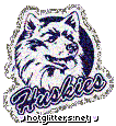 Connecticut Huskies
