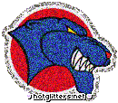Georgia State Panthers