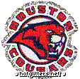 Houston Cougars