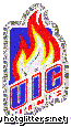 Illinois Chicago Flames