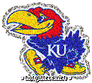 Kansas Jayhawks