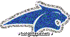 Kansas State Wildcats