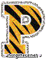 Princeton Tigers