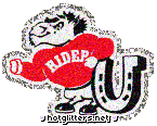 Rider Broncos