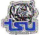 Tennessee State Tigers