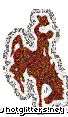 Wyoming Cowboys