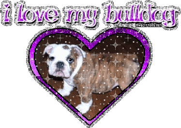 Bulldog