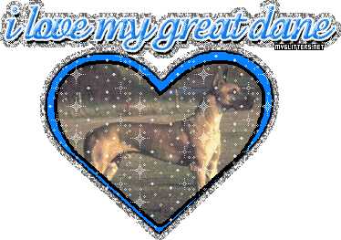 Great Dane