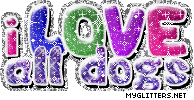 I Love All Dogs