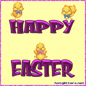 Easter Baby Chicks