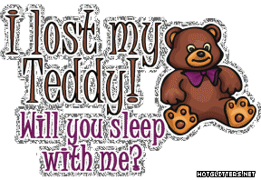 Lost Teddy