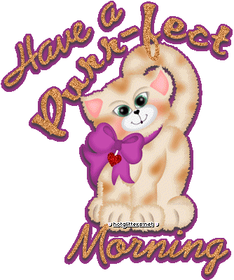 Purrfect Morning