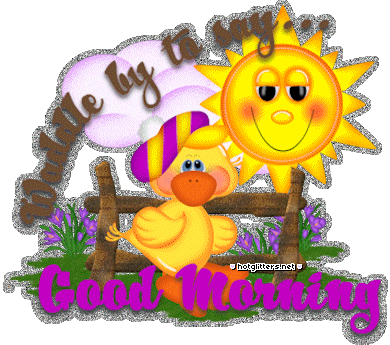 Waddle Morning