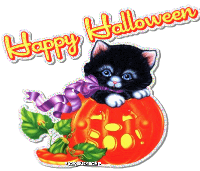 Cat Halloween