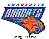 Charlotte Bobcats