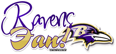 Baltimore Ravens Fan