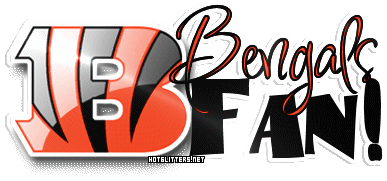 Cincinnati Bengals Fan