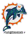 Miami Dolphins