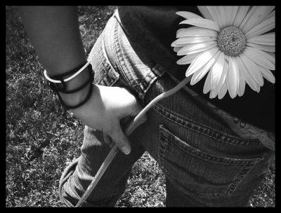 Back Flower