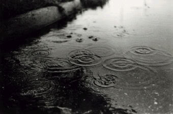 Rain Drops