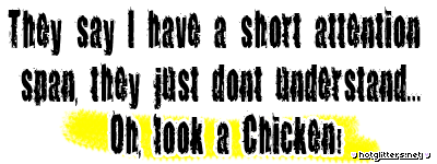 Shot Attention Look Chicken