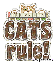 Cats Rule