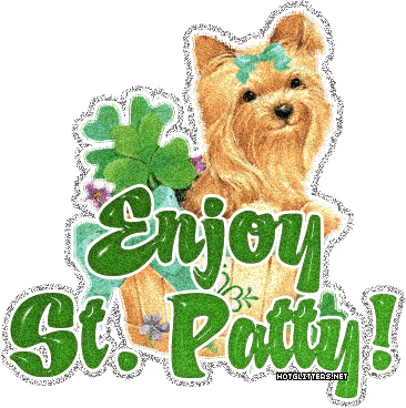 Yorkie Enjoy St Patty