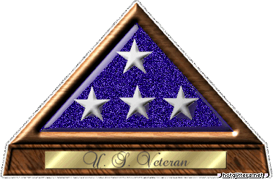 A Us Veteran