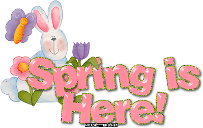 Spring Here Bunny