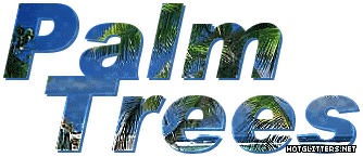 Palm Trees