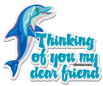 Dolphin Thinking Of You