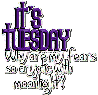 Tuesday Dark