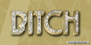 Bitch