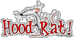 Hood Rat