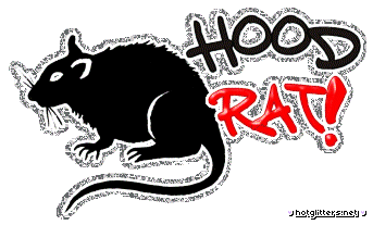 Hood Rat
