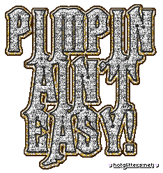 Pimpin Aint Easy