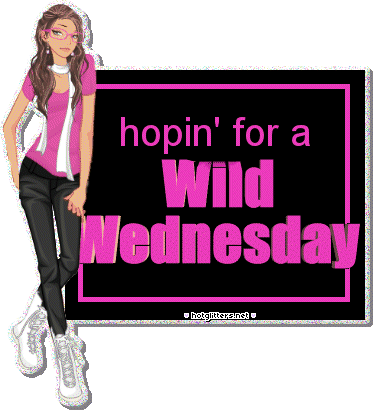 Wild Wednesday