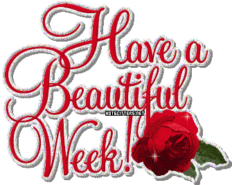 Beautiful Week Rose